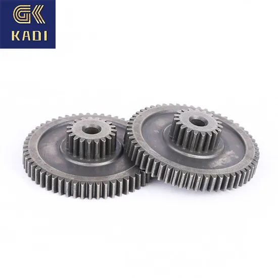 High Quality Powder Metallurgy Sintered Stainless Steel Gear for Motor